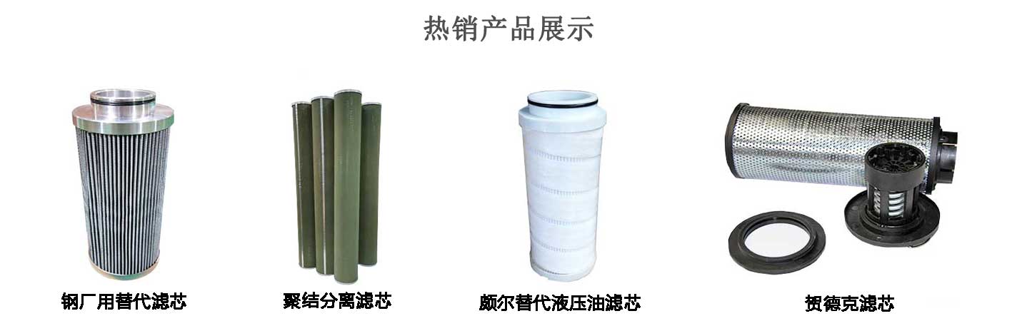 純不銹鋼細篩內(nèi)刮刀濾芯